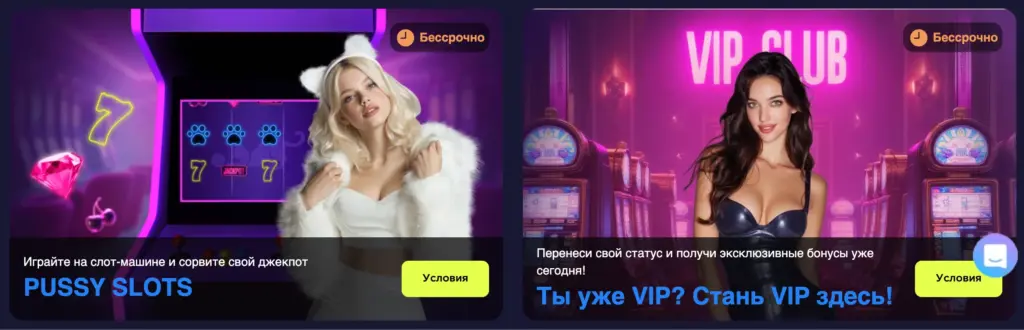 Акции PussyBet